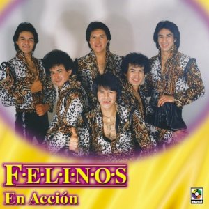 Álbum Felinos En Acción de Los Felinos