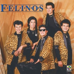 Álbum Felinos de Los Felinos