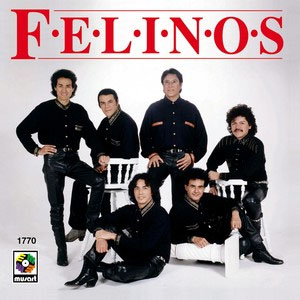 Álbum Los Felinos de Los Felinos
