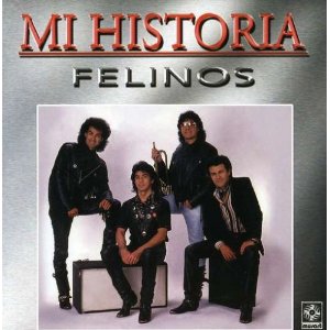 Álbum Mi Historia de Los Felinos
