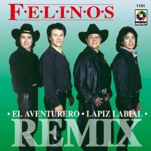 Álbum Remix de Los Felinos