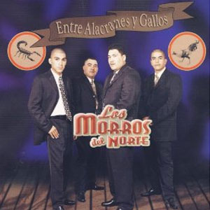Álbum Entre Alacranes Y Gallos de Los Morros Del Norte