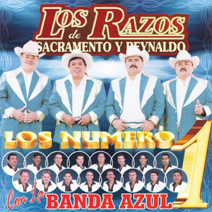 Álbum Los Números Uno de Los Razos