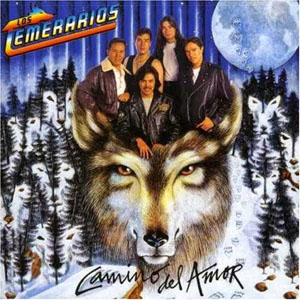 Álbum Camino del Amor de Los Temerarios