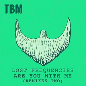 Álbum Are You With Me (Remixes Two) de Lost Frequencies