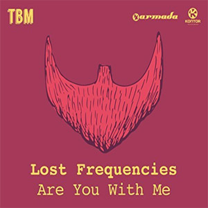 Álbum Are You With Me de Lost Frequencies
