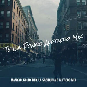 Álbum Te La Pongo (2021 Alfredo Mix) de Manyao