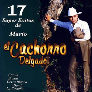 Álbum 17 Súper Éxitos De Mario de Mario El Cachorro Delgado