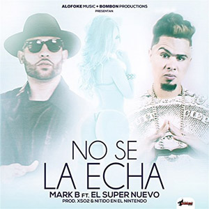 Álbum No Se la Echa (Remix) de Mark B