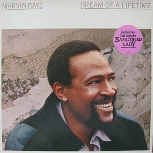 Álbum Dream Of A Lifetime de Marvin Gaye