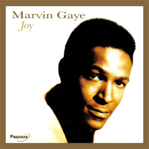 Álbum Joy de Marvin Gaye