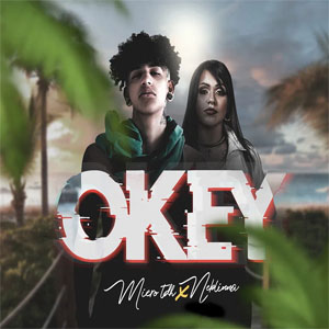 Álbum Okey de Micro TDH