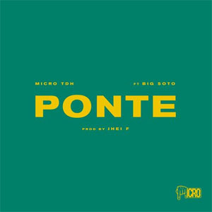 Álbum Ponte de Micro TDH