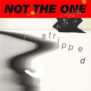 Álbum Not The One (Stripped) de Mikky Ekko