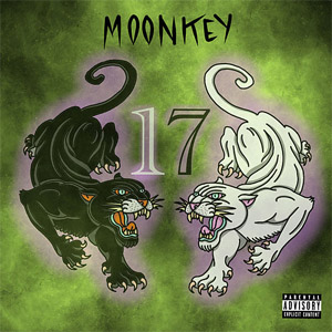 Álbum 17 de Moonkey