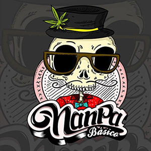 Álbum Copilado Vol 1 de Nanpa Básico