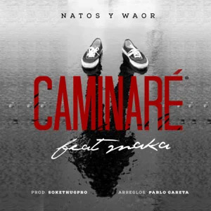 Álbum Caminaré de Natos y Waor