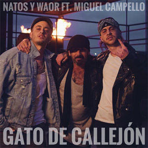 Álbum Gato de Callejón de Natos y Waor