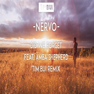 Álbum Did We Forget  (Tim Bui Remix)  de Nervo