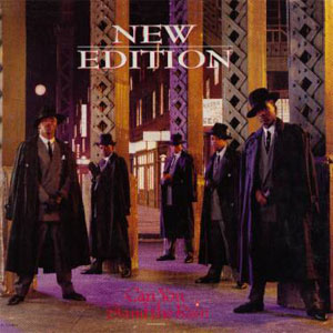 Álbum Can You Stand The Rain de New Edition