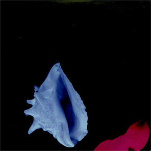 Álbum Touched By The Hand Of God de New Order
