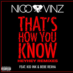 Álbum That's How You Know (Heyhey Remixes) de Nico y Vinz