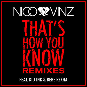 Álbum That's How You Know (Remixes) de Nico y Vinz