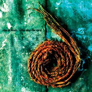 Álbum Further Down the Spiral de Nine Inch Nails 