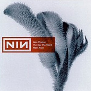 Álbum The Day The World Went Away de Nine Inch Nails 