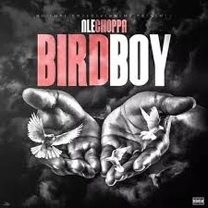 Álbum Bridboy de NLE Choppa