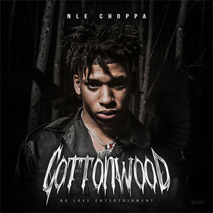 Álbum Cottonwood de NLE Choppa