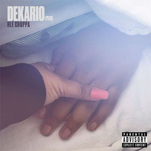 Álbum Dekario (Pain) de NLE Choppa