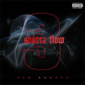 Álbum Shotta Flow 3 de NLE Choppa