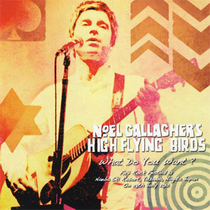 Álbum What Do You Want? de Noel Gallagher
