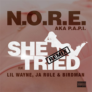 Álbum She Tried (Remix) de NORE