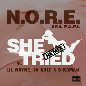 Álbum She Tried (Remix) de N.O.R.E.