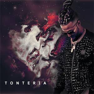 Álbum Tontería de Ovi