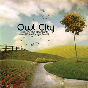 Álbum Deer In The Headlights de Owl City