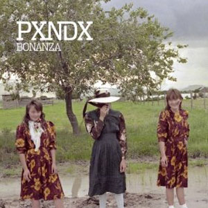 Álbum Bonanza de Pxndx