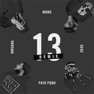 Álbum 13 (Remix) de Pato Pooh