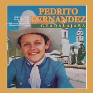 Álbum Guadalajara de Pedro Fernández