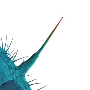 Álbum And I'll Scratch Yours de Peter Gabriel