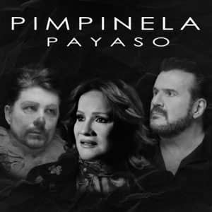 Álbum Payaso de Pimpinela