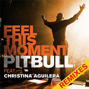 Álbum Feel This Moment (Remixes) de Pitbull
