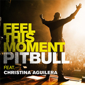 Álbum Feel This Moment de Pitbull