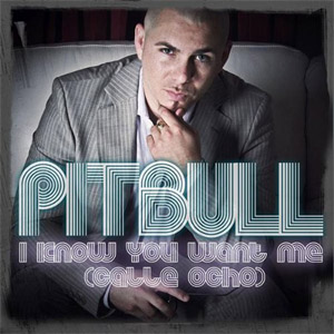 Álbum I Know You Want Me (Calle Ocho) de Pitbull