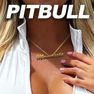 Álbum Mamasota de Pitbull