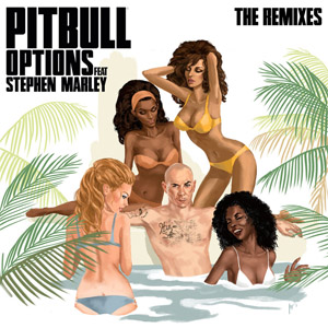 Álbum Options (The Remixes 1) de Pitbull