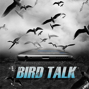 Álbum Bird Talk de Project Pat