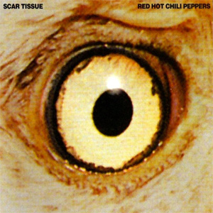Álbum Scar Tissue de Red Hot Chili Peppers
